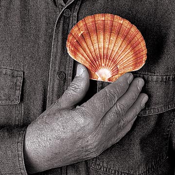 Man of the shells - Nicolas Khoury - L'uomo delle conchiglie // Photo:©Richard Khoury